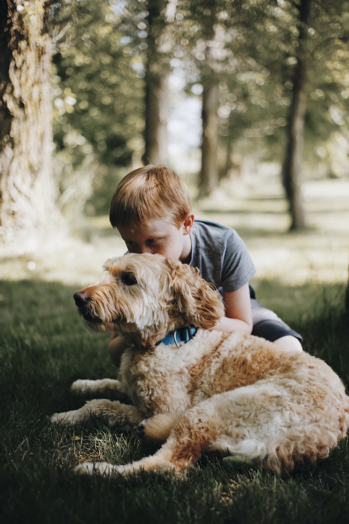 Best Doodle Dogs for Families With Children: A Vet-Reviewed Comparison