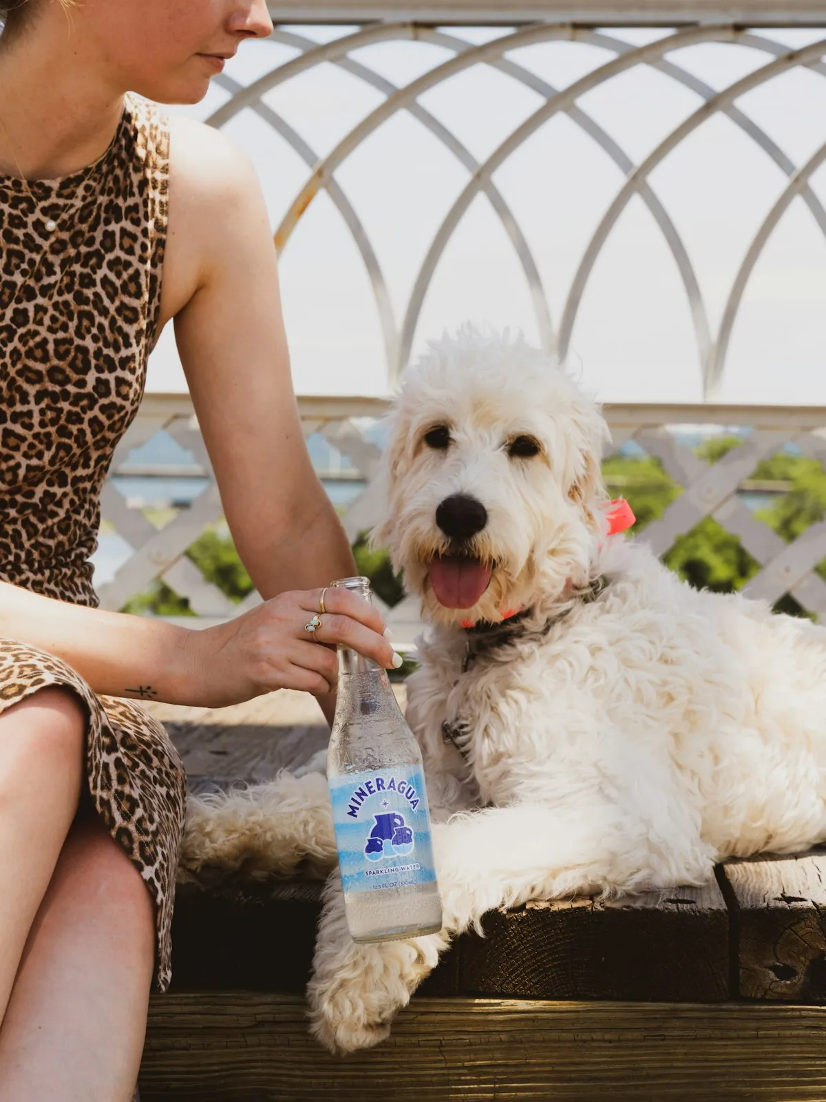 Person sitting outdoors with an adult Goldendoodle