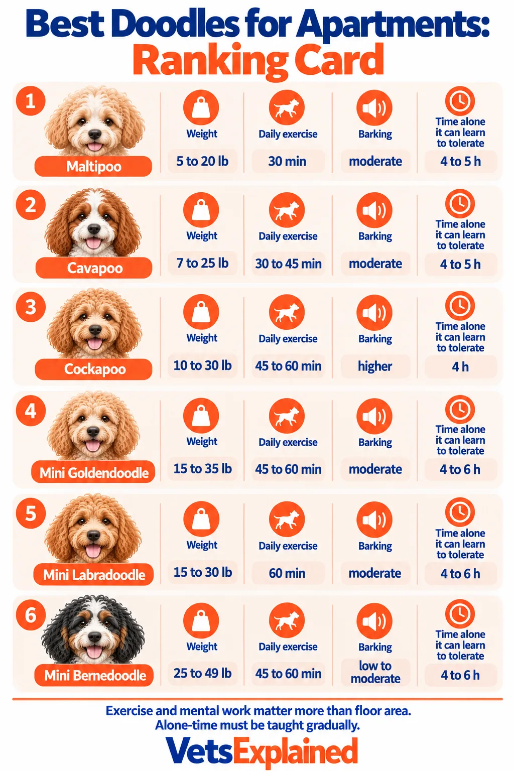 Ranking card of six Doodle crosses for apartment living, with weight, daily exercise minutes, barking tendency and the time alone each can learn to tolerate: Maltipoo, Cavapoo, Cockapoo, Mini Goldendoodle, Mini Labradoodle and Mini Bernedoodle