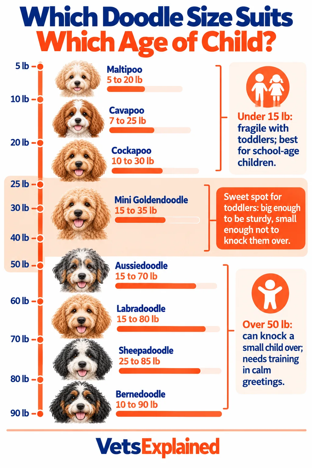 Infographic showing eight Doodle crosses on a weight scale from 5 to 90 lb, with a highlighted 25 to 50 lb sweet spot for toddlers, a note that dogs under 15 lb are fragile with toddlers, and that dogs over 50 lb can knock a small child over